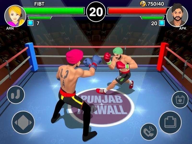 Punjab Boxing Brawl Festival Mode